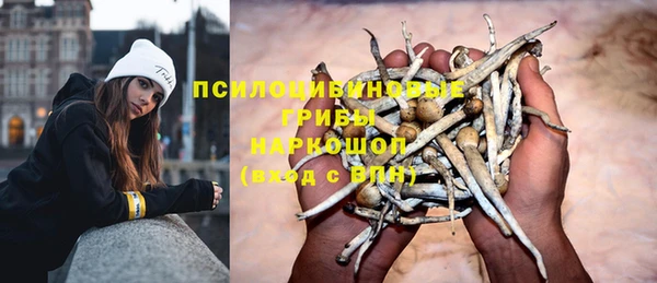apvp Пролетарск