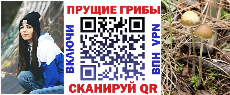 Псилоцибиновые грибы прущие грибы  Чадан 