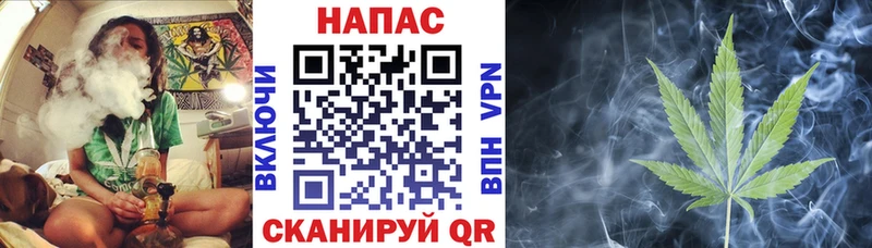 сколько стоит  Чадан  МЕГА онион  Бошки Шишки планчик 